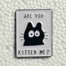 Are You Kitten Me? Pin